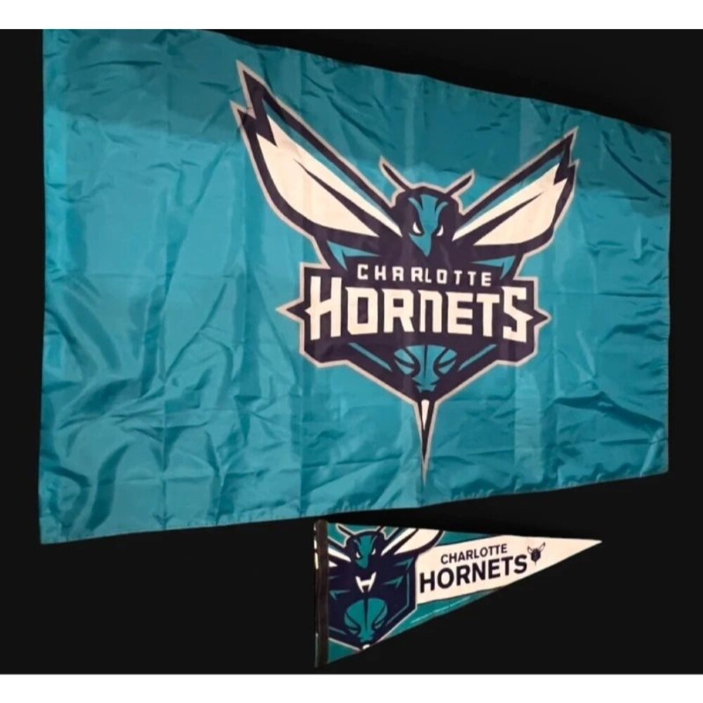 Charlotte Hornets flag